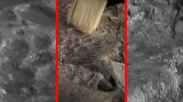 فیلم فسیل باستانی تمساح‌ در صحرای مصر