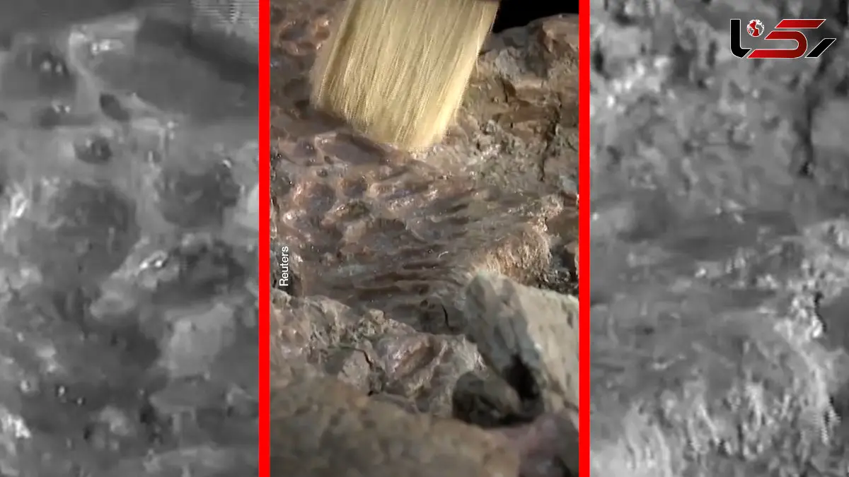 فیلم کشف جد ۸۰ میلیون ساله تمساح ها در مصر