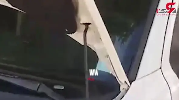 وحشت راننده 206 از یک موجود هولناک در خودرویش+ فیلم