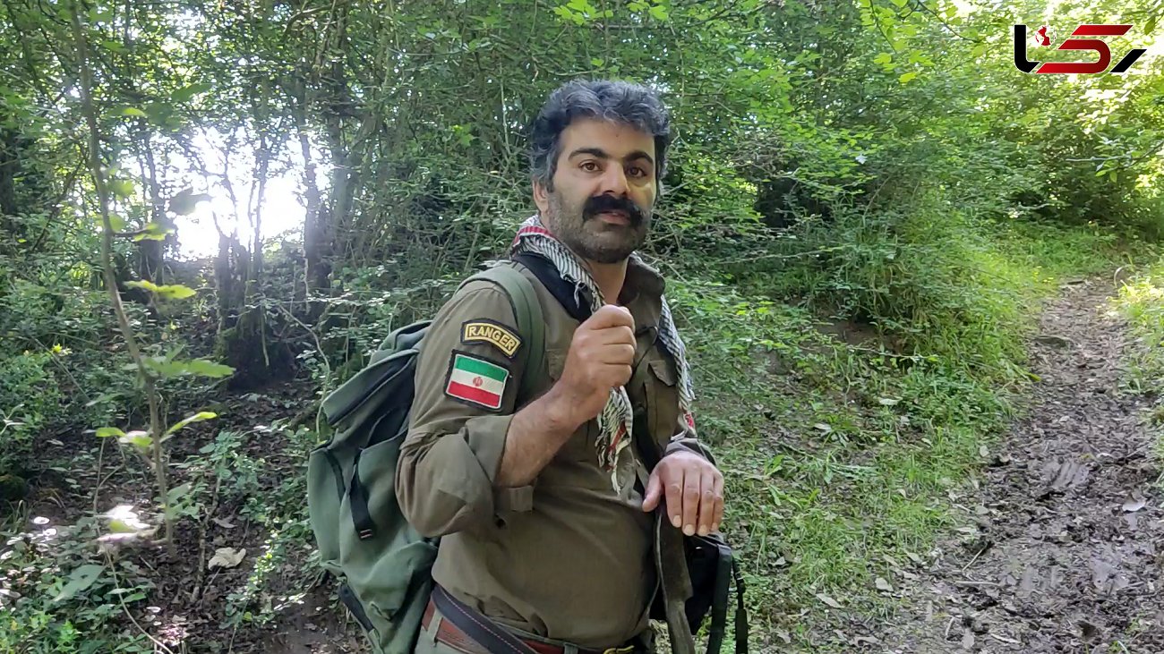 این مرد ایرانی با حیوانات حرف می زند ! + فیلم قدم زدن با محیط بان در جنگل های هیرکانی 