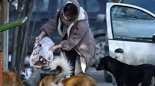 به حیوانات غذا ندهید ! + فیلم پر معنا