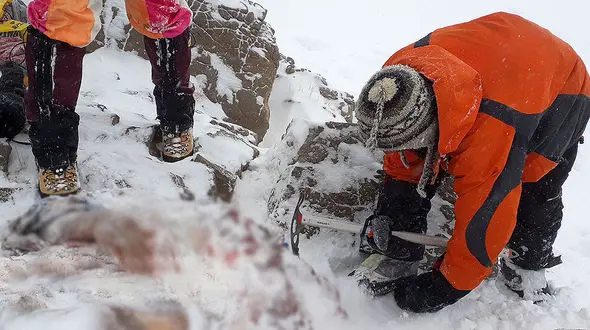 عملیات یافتن اجساد حادثه هواپیما ی مرگ کاملا متوقف شد!