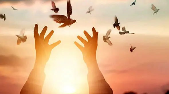 رهایی از چوبه دار پس از ۲۰ سال 