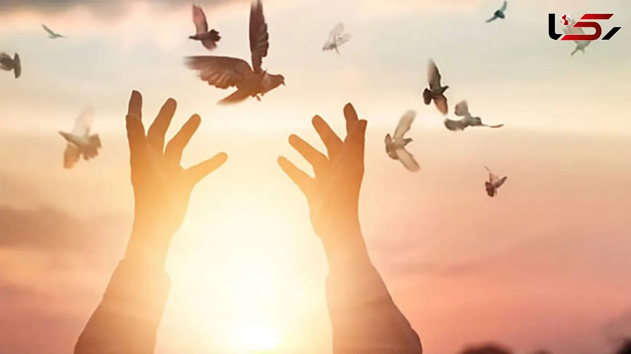 ۳۰ محکوم به اعدام در فارس ازچوبه دار نجات پیدا کردند
