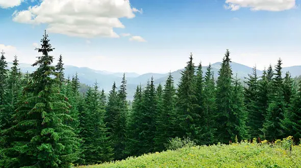 فال ابجد 5 اسفند + فیلم