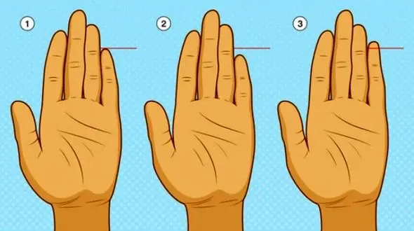 تست : انگشتان دست شخصیت شما را معرفی می کنند ! + تصویر