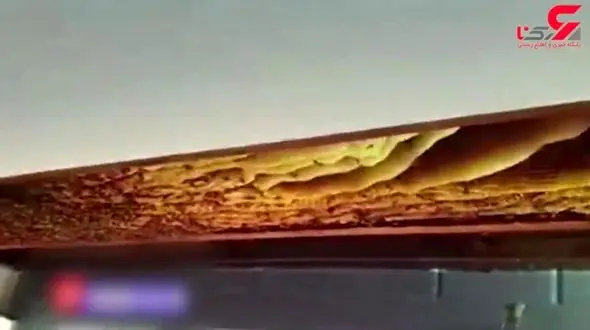 اتفاقی عجیب / کشف کندوی عسل 50 کیلویی زیر سقف خانه ای در استرالیا + فیلم