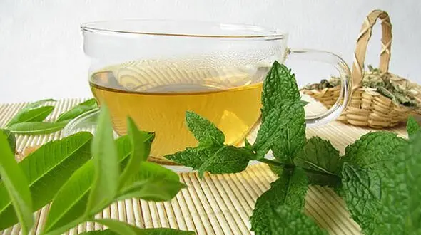 روزه داران نعناع مصرف کنند