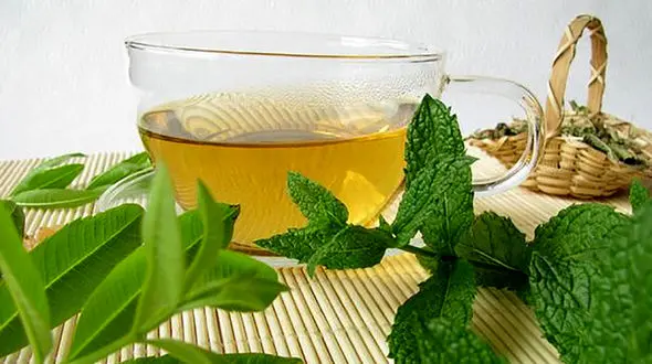 روزه داران نعناع مصرف کنند