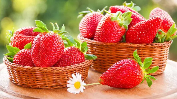 با این مواد غذایی بدن تان مشکل کم آبی ندارد