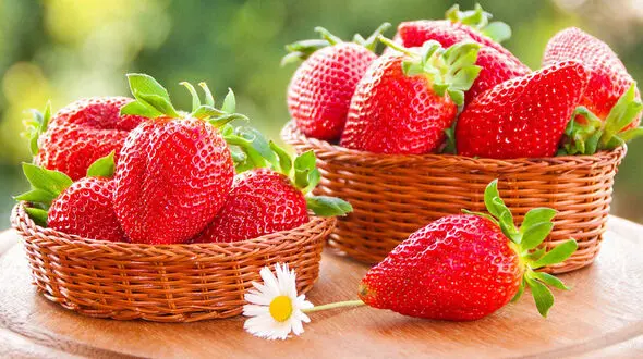 با این مواد غذایی بدن تان مشکل کم آبی ندارد