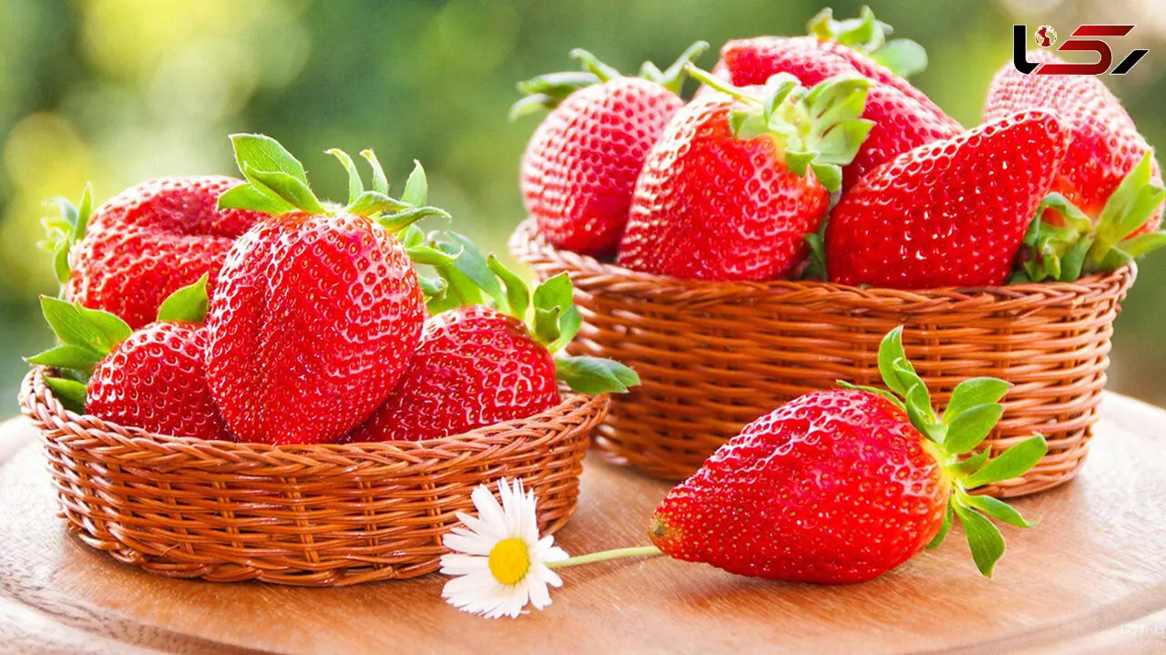 با این مواد غذایی بدن تان مشکل کم آبی ندارد