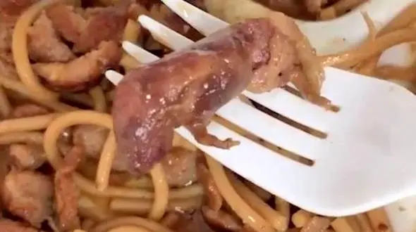 کشف موش مرده داخل غذای سفارشی یک رستوران+عکس