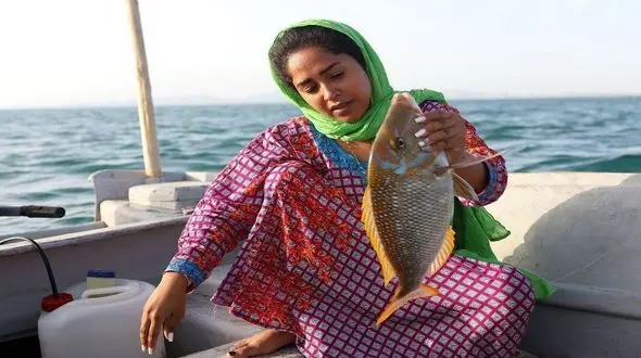 شیلات به دنبال صدور اولین مجوز صید برای زنان ماهی گیر + فیلم