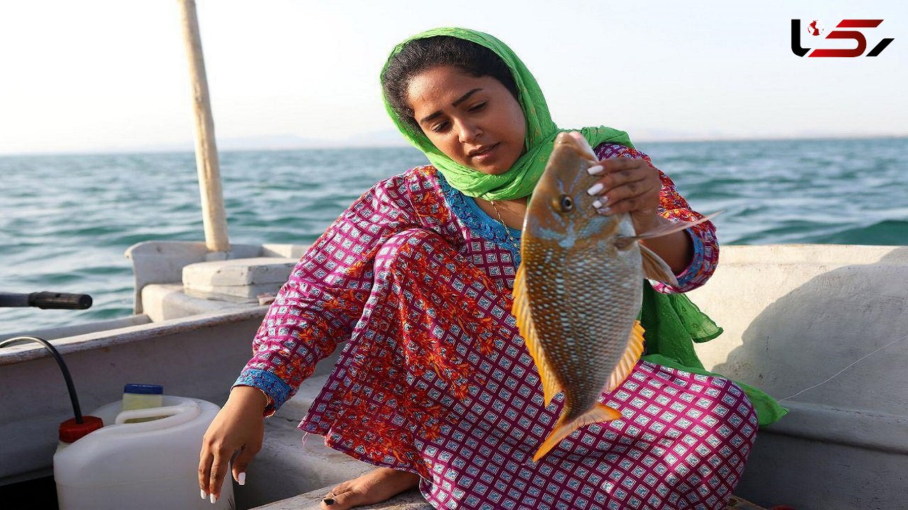 شیلات به دنبال صدور اولین مجوز صید برای زنان ماهی گیر + فیلم