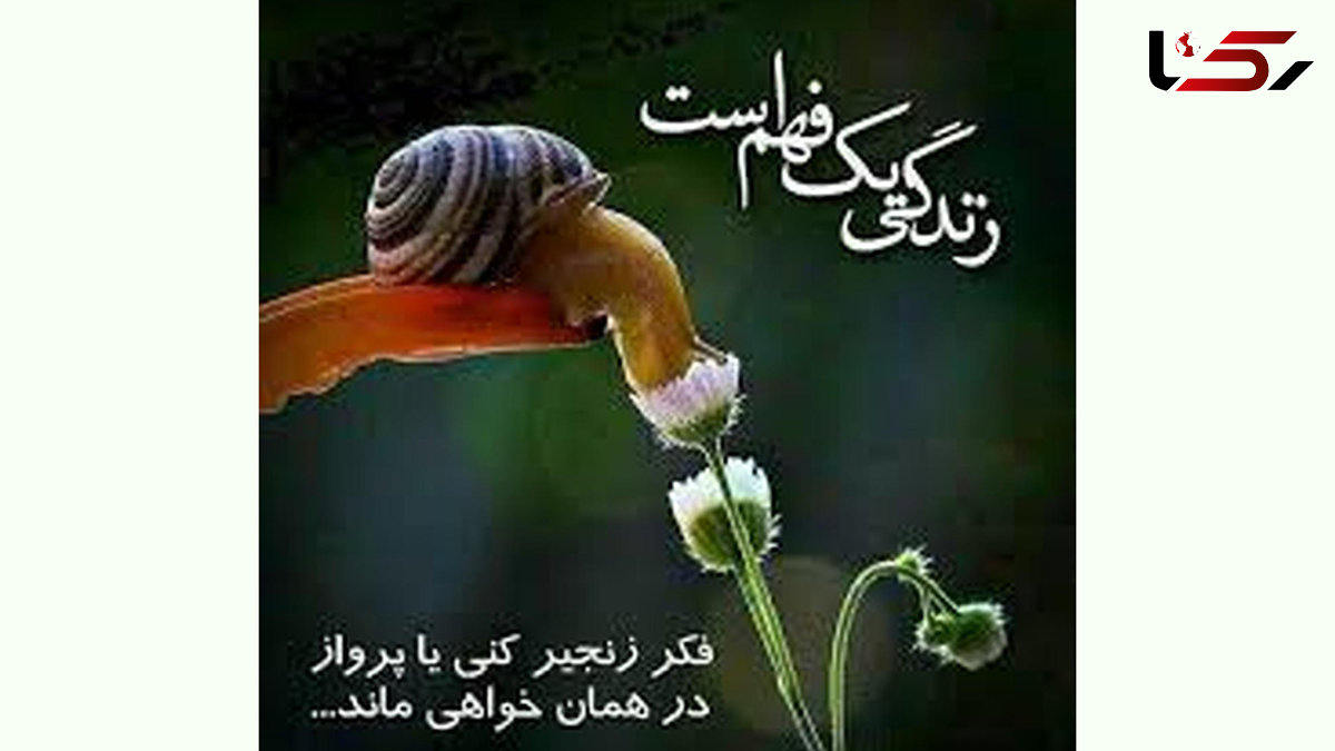 چه افرادی به معنای واقعی زنده اند؟