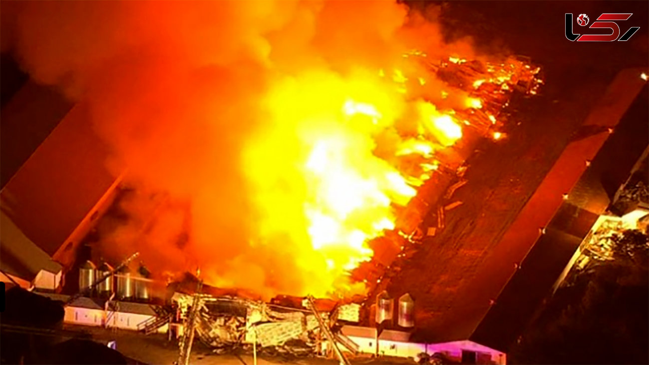 آتش‌سوزی گسترده در یک مجتمع بزرگ کشاورزی در نیوجرسی