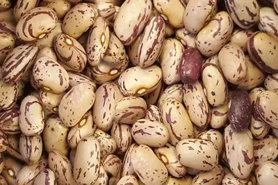 رشد 2679 درصدی قیمت لوبیا چیتی طی 6 سال!