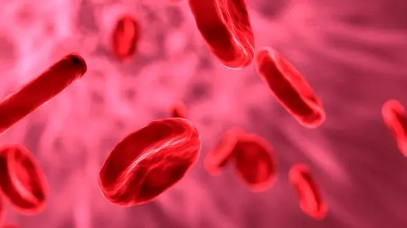 مراقب باشید! این داروها و خوراکی ها پلاکت خون را کاهش می دهند