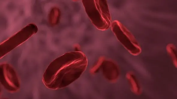 مراقب باشید! این داروها و خوراکی ها پلاکت خون را کاهش می دهند