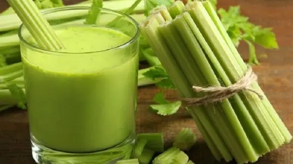 معجز آب کرفس و لاغری