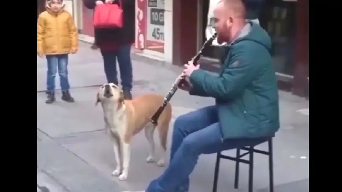 سایت سکس با حیوانات