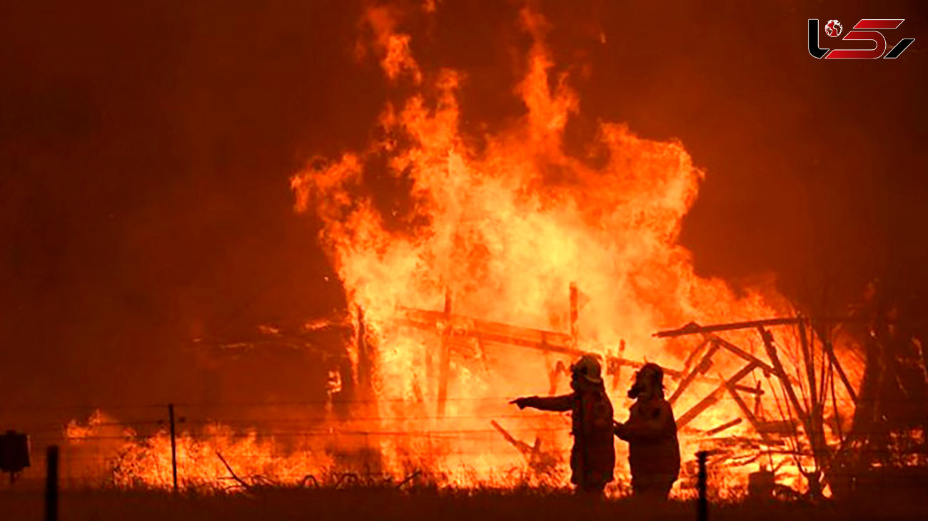 مهار آتش سوزی گسترده در 20 هکتار از مزارع روستایی کنگان+فیلم
