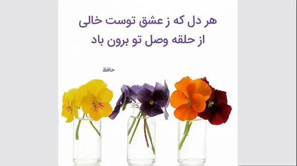 فال حافظ امروز / 9 بهمن ماه با تفسیر دقیق + فیلم