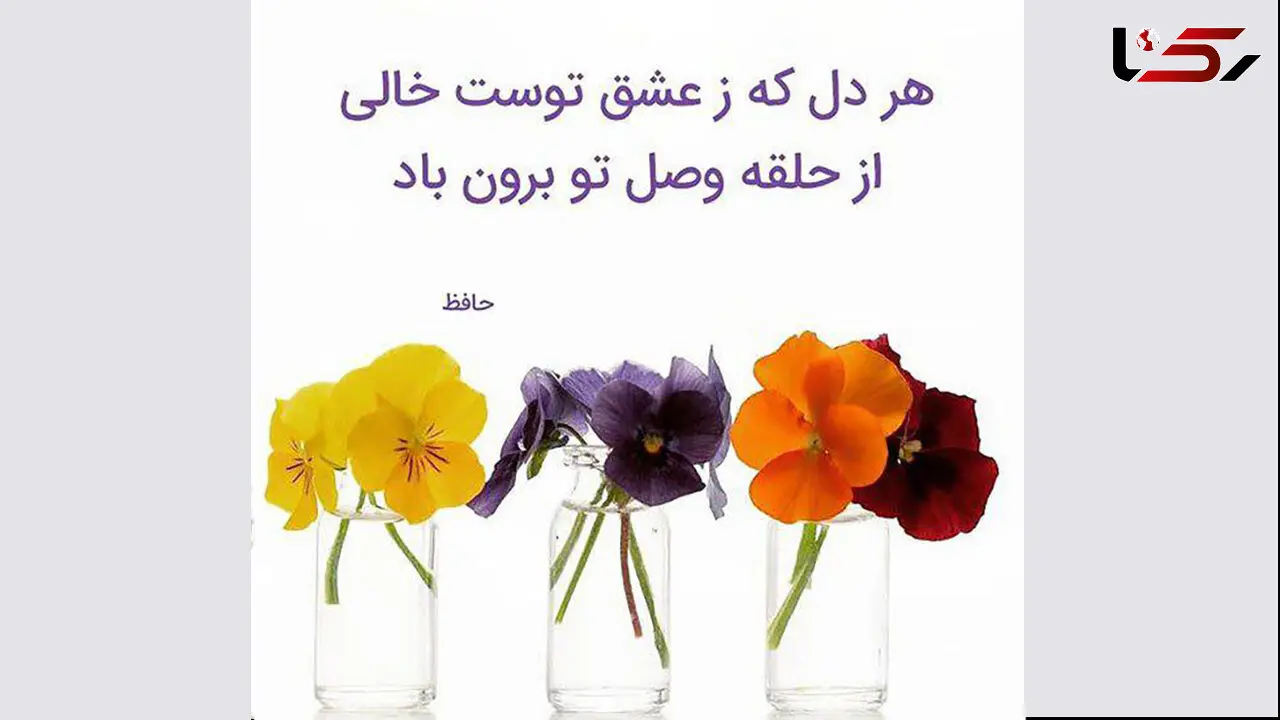 فال حافظ امروز / 9 بهمن ماه با تفسیر دقیق + فیلم