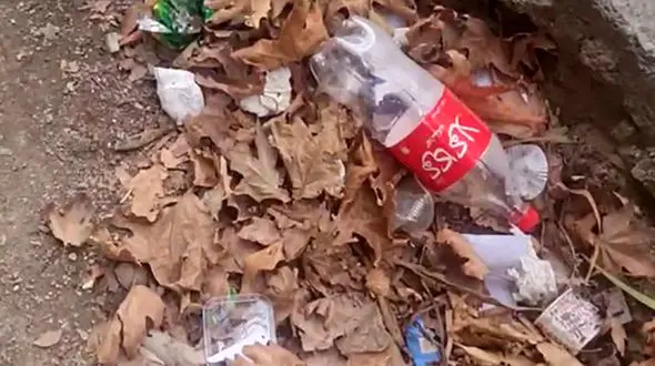 زباله هایی که در تهران جمع نمی شوند! / چرا مدیریت شهری نظافت پایتخت را رها کرده است؟ + فیلم