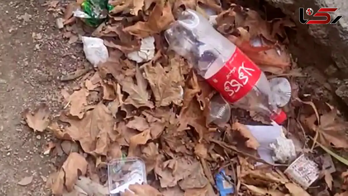 زباله هایی که در تهران جمع نمی شوند! / چرا مدیریت شهری نظافت پایتخت را رها کرده است؟ + فیلم