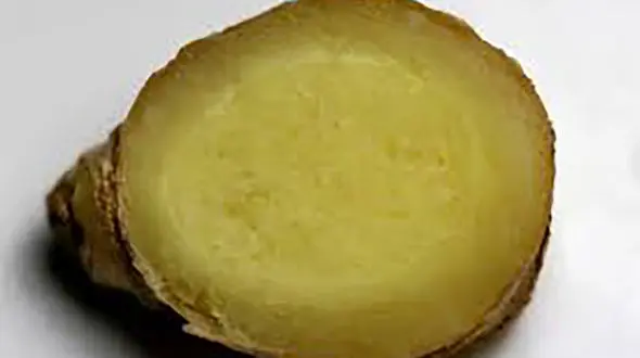 زنجبیل بهترین دوست تناسب اندام شماست + فیلم 