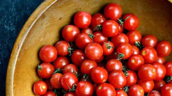 پرورش گوجه  گیلاسی در گلدان های خانگی