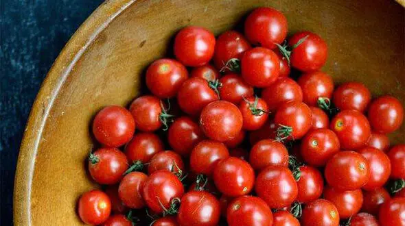 پرورش گوجه  گیلاسی در گلدان های خانگی