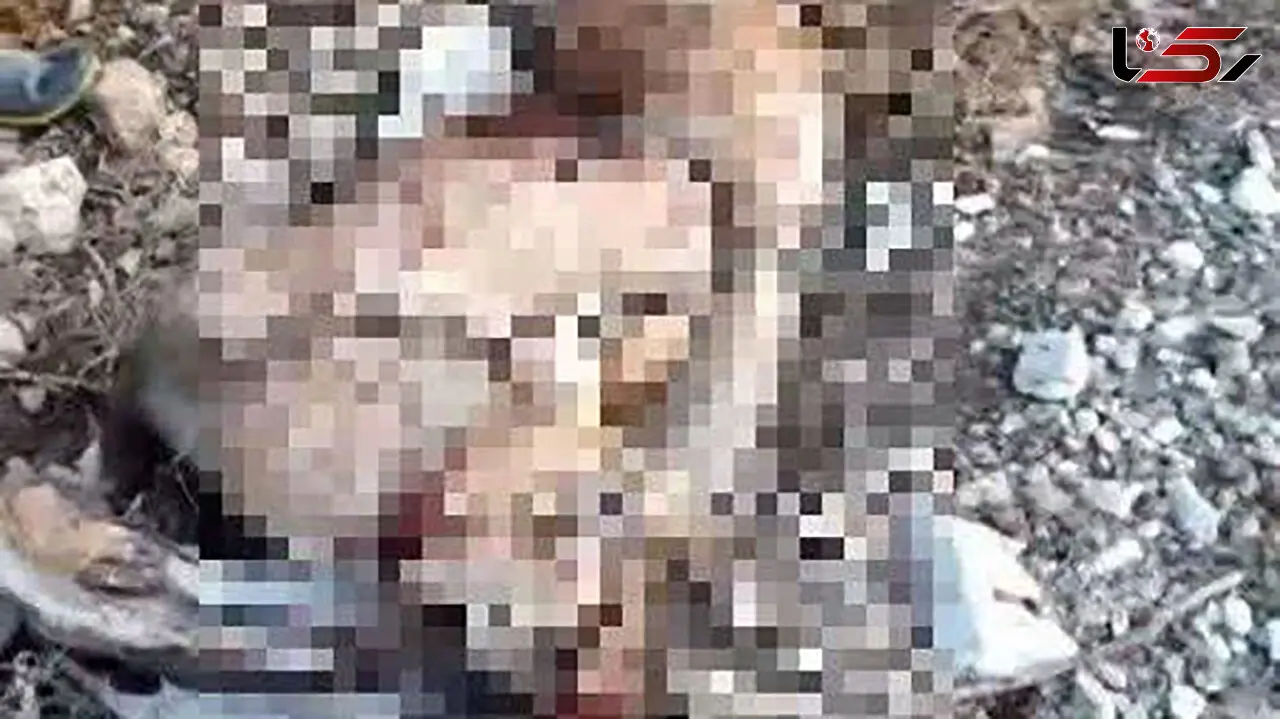 رئیس پارک ملی گلستان: کشف لاشه کل وحشی از شکارچیان غیرمجاز / پرونده قضایی برای متخلفان تشکیل شد