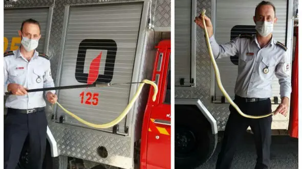 وحشت در خانه مرد رباط کریمی / همه جیغ کشیدند + عکس