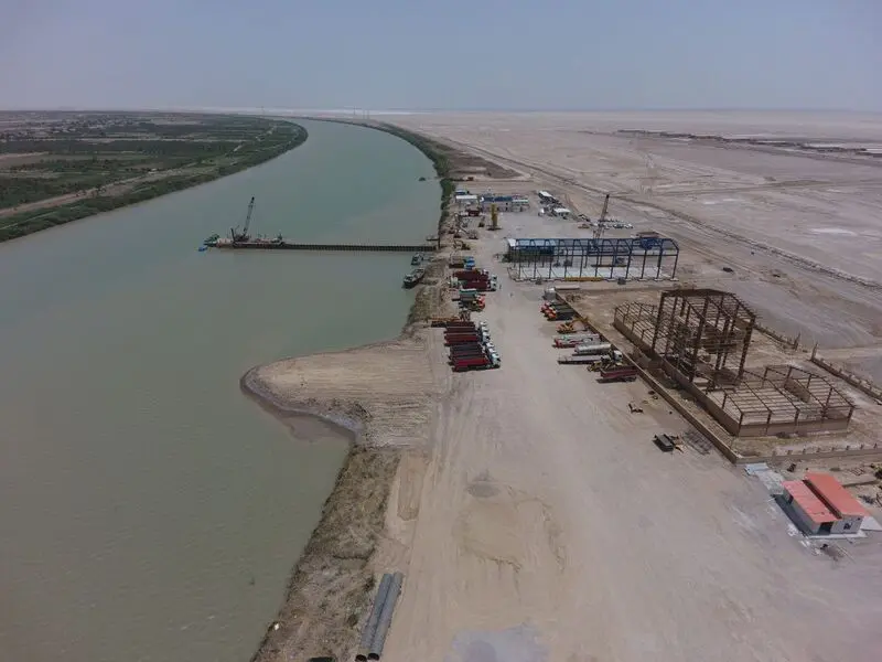 نخل های خوزستان آبادان و خرمشهر