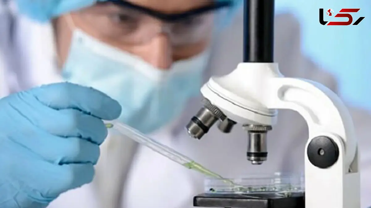 انقلاب خاموش در بیمارستان‌ها؛ هوش مصنوعی چهره مراقبت‌های درمانی را تغییر داد