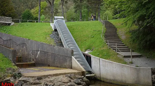 خانه‌ای عجیب که تنها افراد خاص حق حضور در آن را داشتند! + تصاویر
