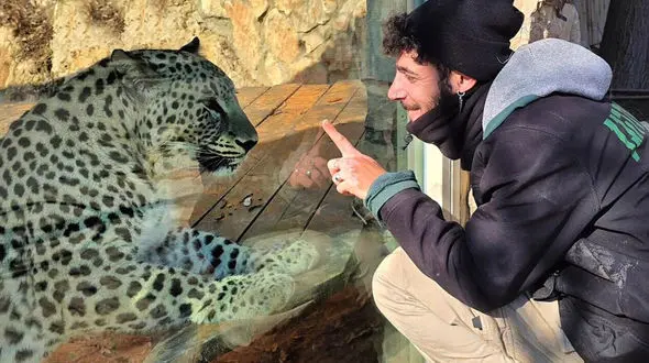 حمله پلنگ ایرانی به یک مرد صهیونیستی