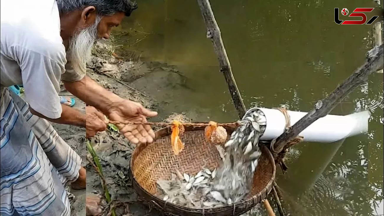 فیلم/ تله جالبی که مرد بنگلادشی ساخت و با آن ماهی صید کرد