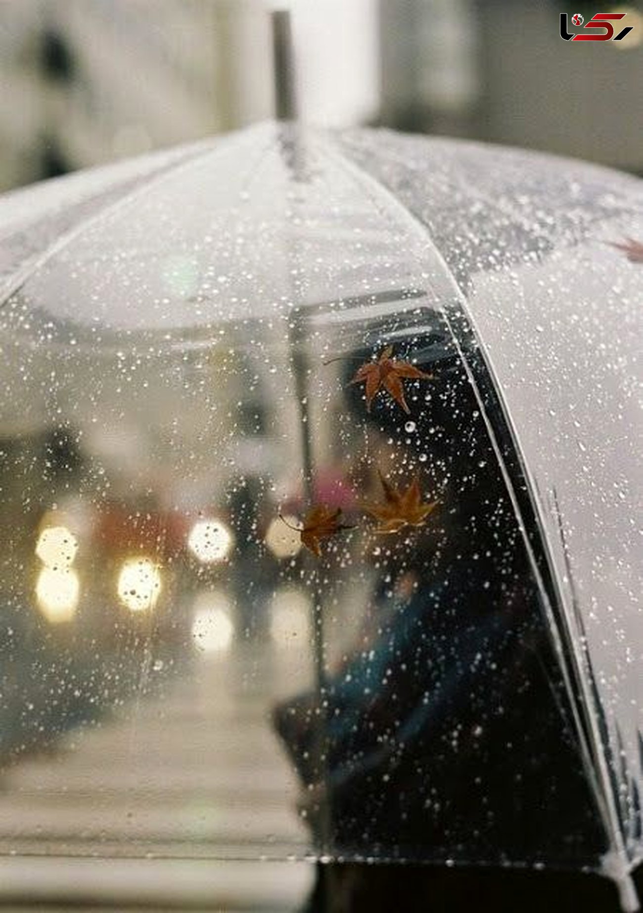 جزئیات بارش‌ها در لرستان/ ثبت بیشترین بارندگی‌ها در «شول آباد»