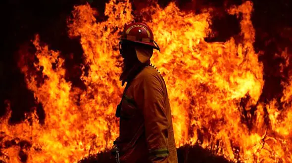 فیلمی از آتش سوزی مهیب در باغی در یزد