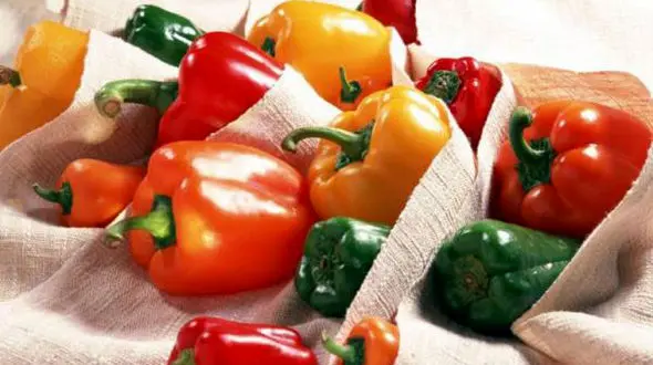 نحوه نگهداری فلفل دلمه ای در فریز به مدت یکسال