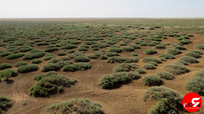 کویر میغان