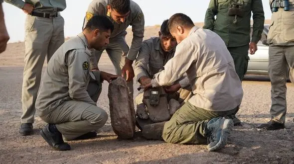 پنج مشاهده ثبت‌شده یوزپلنگ در خراسان رضوی؛ برگزاری دوره تخصصی حفاظت با رویکرد مشارکت محلی