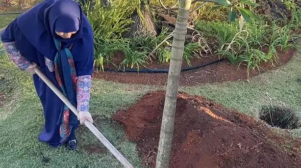 رییس سازمان محیط زیست در برزیل درخت کاشت