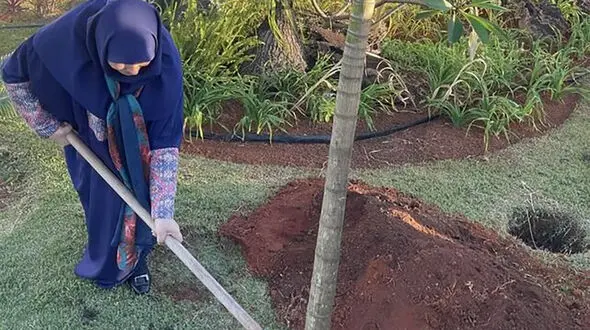رییس سازمان محیط زیست در برزیل درخت کاشت