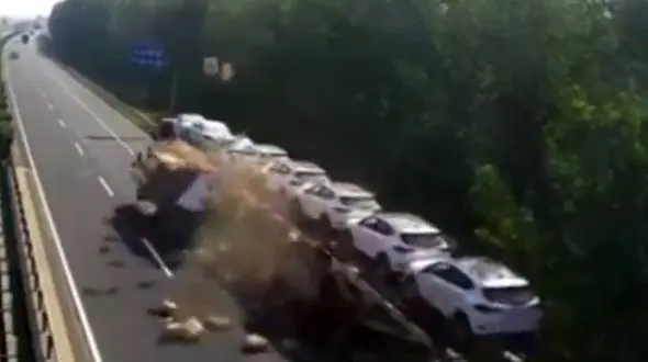 تصادف کامیون با تریلی و مرگ صدها اردک!+ فیلم و عکس