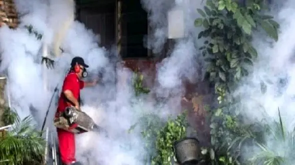 مبتلایان به تب دنگی در ایران به 63 نفر رسید/ اقدامات وزارت بهداشت و دولت برای مهار شیوع تب دنگی چیست؟